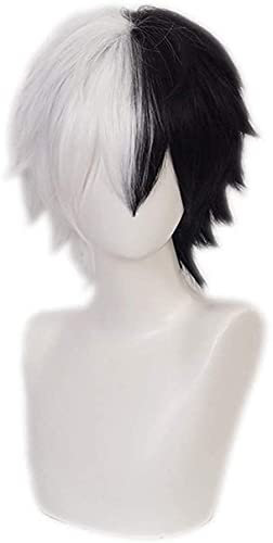 Anime Cosplay Perücke für Danganronpa Kostüm Perücken Hitze Beständig Synthetische Haar Karneval Halloween (Monokuma Perücke)