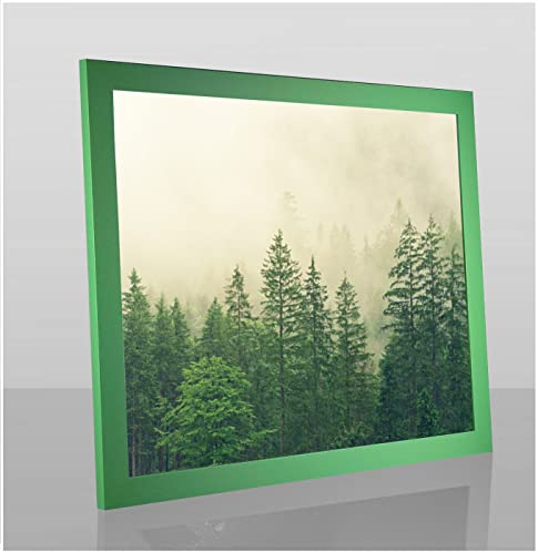 Monaldo Deluxe Bilderrahmen Posterrahmen 70 x 50 cm Froschgrün Grün Wechselrahmen weisser Hintergrund klares Kunstglas