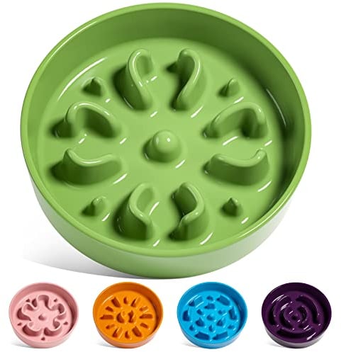 LE TAUCI Cuencos de cerámica de alimentación Lenta para Perros de Raza pequeña, Plato de Comida para Perros y Gatos pequeños, Verde, S-350 ml