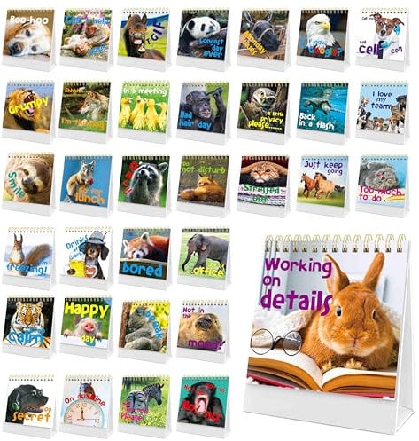 40 Pages Funny Desk Sign, 34 Different Fun and Flip-Over Messages plus 6 Erasable Blank Pages, Funny Desktop Flip Book for Office Gifts Desk Accessories (Animal Design)