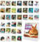 40 Pages Funny Desk Sign, 34 Different Fun and Flip-Over Messages plus 6 Erasable Blank Pages, Funny Desktop Flip Book for Office Gifts Desk Accessories (Animal Design)