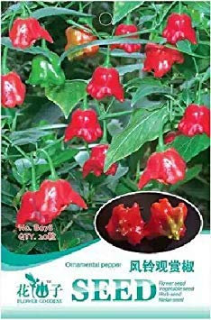 2018 heiße Anatolian Tulpe Zier Pfeffer Samen, Originalverpackung, 20 Samen/Pack, Äolischen Glocke Chili Red Pepper Essbare Gemüse # B078