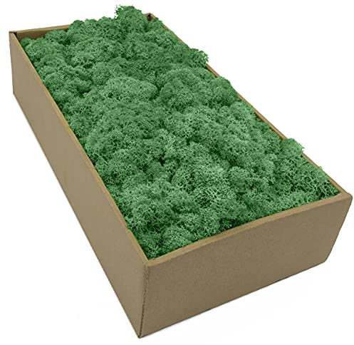 Islandmoos - Moos in 5 versch. Farben 250gr / 500 gr / 1Kg echtes konserviertes Natur Moos zum Moosbild basteln Deko und Modellbau (Waldgrün, 500 gr)