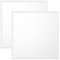 WSU Lights 2x LED Panel, Deckenleuchte, 62x62cm, 4400lm, 4000K, 40W, inkl. Trafo, Rasterleuchten, Einlegeleuchte, Büroleuchten (4000K, 2 Stück)