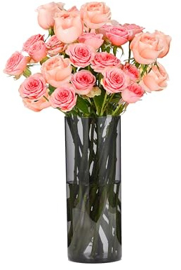 Koelaa Langlebige Unzerbrechliche Vase, Blumenvase aus Acryl-Kunststoff – Leichte Transparent-Graue Zylindervase für Hochzeitstischdeko, Einweihungsparty oder Home Decor-10x25 cm