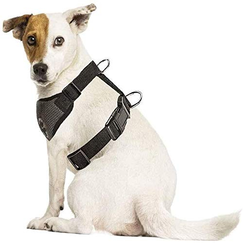 SlowTon Hundegeschirr für Hunde, No Pull Sicherheitsgeschirr Kleine Mittlere Hunde Brustgeschirr Dog Harness Weich Gepolstert Atmungsaktiv (XXXS, Hundegeschirr (Grau))