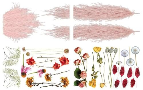Dixie Belle Transfert | Pampa rose et vents secs | Feuille de 61 x 96,5 cm | Transfert décoratif à frotter pour travaux manuels, meubles, bricolage | Transfert de design artisanal