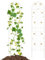GOPLUS Lot de 2/4 Treillis Jardin pour Plantes Grimpantes, Treillis pour Plantes 1,8M/2,2M en Métal Galvanisé, Treillis Décoratif pour Plantes, Légumes, Fleurs, Vignes (Tournesol Blanc|50x220CM,2)