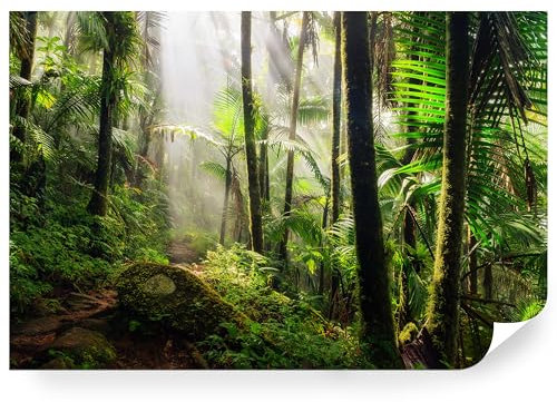 Fototapete Natur Vlies - Vliestapete Tapete Wandtapete Motivtapeten Vliestapeten Wohnzimmer Schlafzimmer Bildtapete Tropischer Wald Karibik Dschungel Landschaft Urwald Bäume 315x210cm