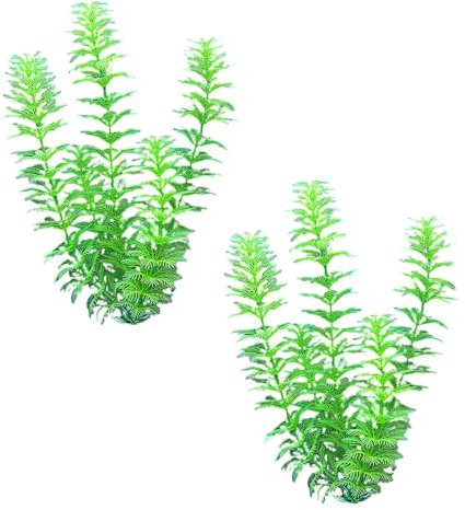 CHAKAE Serbatoi di pietra erba artificiale simulazione paesaggio erba pianta acquario acquario paesaggio acquario