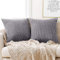 Deconovo Kissenbezug Kordsamt Dekokissen Kissenbezüge Wohnzimmer Kissenhülle mit Verstecktem Reißverschluss Super Weich Sofakissen Kissenhüllen für Sofa Couch Schlafzimmer, 60x60 cm, Hellgrau, 2er Set