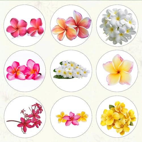 150 pcs frangipani deko samen bonsai samen winterharte balkonpflanzen Plumeria rubra, nachhaltige geschenke für frauen bonsai topf deko pflanze büropflanzen kräutergarten geschenk