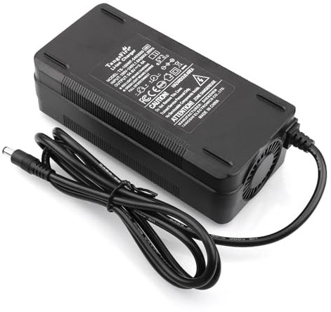 Caricabatterie 54,6 V 3 A per batteria agli ioni di litio 13S 48 V caricatore per batteria al litio bicicletta elettrica DC 5,5 x 2,1 mm