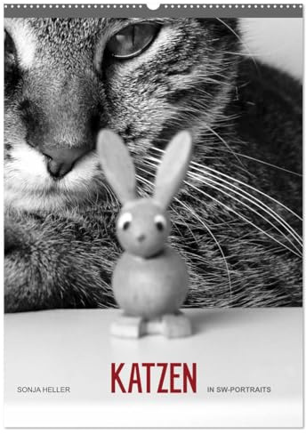 Sonja Heller Katzen in SW-Portraits (Wandkalender 2026 DIN A2 hoch), CALVENDO Monatskalender: Katzen - festgehalten in SW-Fotografien (CALVENDO Tiere)