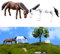 Decorazione creativa del giardino con 2 PCS per Pony Horse Figure Costruzione Resina