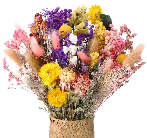 saerryor 46 Pcs Natural Dried Flowewrs, 15 Kinds of Dried Flowers Bouquet | Decorative Dried Flowers Boho Natural Flowers for LDIY Dried Flower Bouquet, Vase Decoration