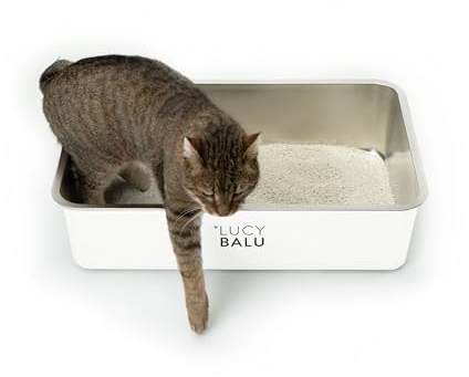 LucyBalu® Edelstahl Katzenklo geruchsfrei | große Katzentoilette aus Edelstahl | offenes Katzenklo für den Einstieg von Oben | hop-in Katzen Klo ohne Deckel | Katzen WC | Edelstahl Wanne | Weiß