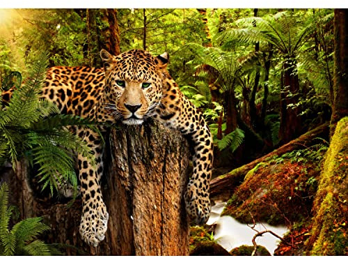 Runa Art Fototapeten 396 x 280 cm Leopard Afrika - Vlies Wanddekoration Wohnzimmer Schlafzimmer - Deutsche Manufaktur - Grün Braun 9201012a