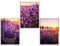 GrowArt - Romantische Poster mit Lavendel unter der aufgehenden Sonne im Format A3: Ideale Dekoration für das Wohnzimmer Schaffung einer Atmosphäre des Friedens und der Kontemplation der Natur