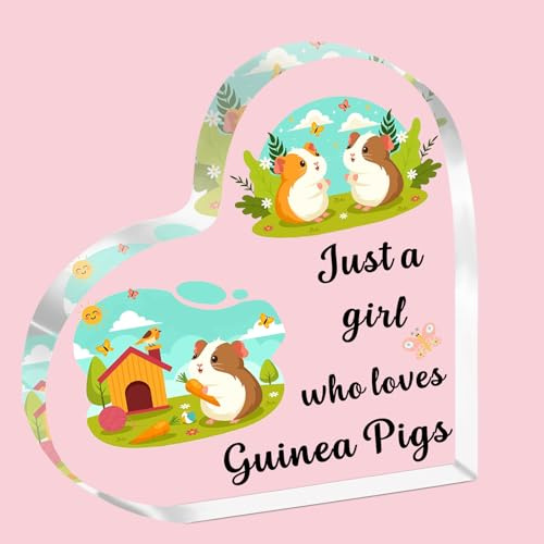 SDOFY Meerschweinchen-Geschenke, Meerschweinchen-Geschenke für Mädchen, Frauen, Meerschweinchen, Acryl-Schild, Meerschweinchen-Liebhaber, Geschenk für ein Mädchen, das Meerschweinchen liebt