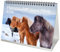 Pferdezauber Island Pferde DIN A5 Tischkalender für 2026 Pferde und Fohlen - Geschenkset Inhalt: 1x Kalender, 1x Weihnachtsanhänger (insgesamt 2 Teile)