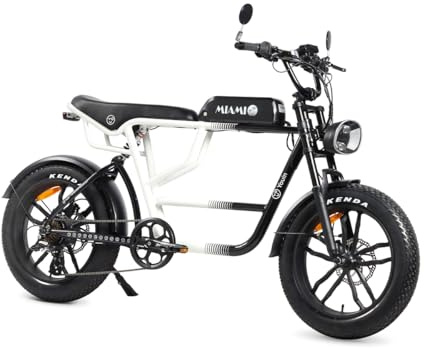 Youin Miami BK7000 Folding Electric Bike Fat 20 Inch Double Suspension Motor 250W Detachable Battery Up to 100km Range Hydraulic Brakes 7 Speed LED Display