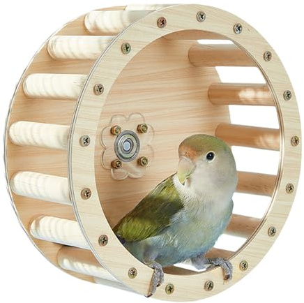 Nybhyjka löparhjul för papegojor – papegoja övningshjul intelligensleksak, trä parakiter bur tillbehör, utbildningsmaterial för Conures lovebird intelligenstillväxt