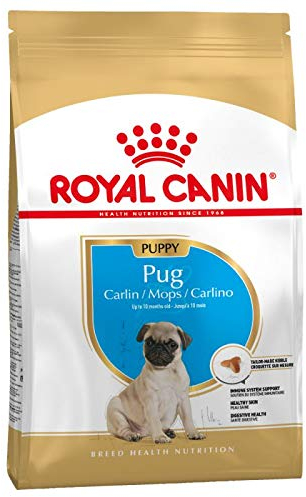 Canin Royal Pug Puppy Trockenfutter für Welpen, bis zu 10 Monate, 3 x 1,5 kg, speziell für trockene Haut und Fell, Gesundheit, Verdauung und Immunsystem, mit verdaulichen Proteinen