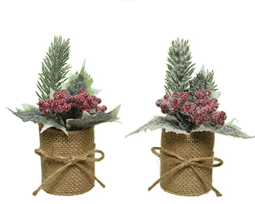 Decoris Weihnachtsgesteck 5cm x 15cm 1 Stück Sortiert im Jute Topf Tanne Stechpalme Weihnachtsdeko