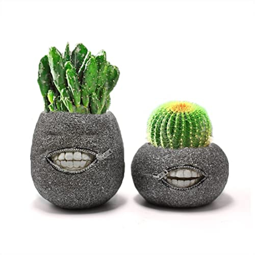 YOOTOM 2 Pots de Fleurs en Résine Intérieur/Extérieur, Mini Pots à Plantes forme Tête Décoratif Pots pour Succulente Cactus, Flowerpots Art Pots pour Bonsai Succulent Aloès