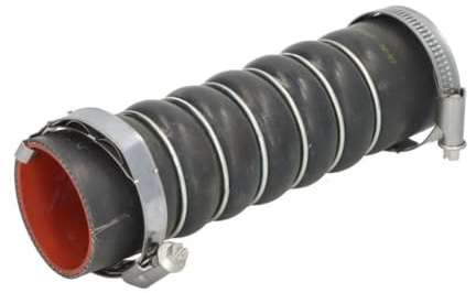 THERMOTEC DCR226TT Ladeluftschlauch Kompatibel mit RENAULT Clio 3 Schrägheck BR0/1, CR0/1 8200447887