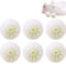bopely Sneaker Deodorizer Balls, 6 Pcs Shoe Odor Deodorant Ball for Gym Bag Locker Closet Car, Odor Air Fresheners for Shoe