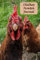 Chicken Scratch Journal: Blank lined notebook for all your important chicken scratch ideas, notes, doodles, musings, lists, etc.