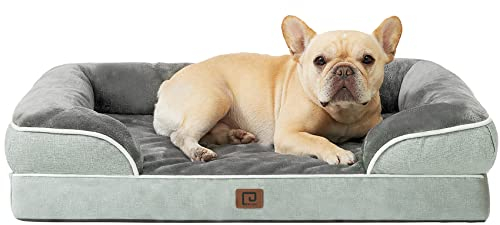 EHEYCIGA Orthopädisches Hundebett Kleine Hunde, 76x51x15cm, Memory Foam Hundekorb Mittelgroße Hunde, Waschbar Hundesofa Wasserdicht rutschfest, Hundecouch mit Hohem Rand, Gräuliches Grün