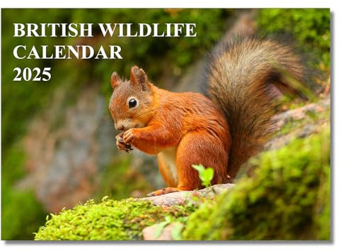 British Wildlife Calendar 2026 12 Month to View A4 Wall Calendar 2026 A3 When Open Calendar 2026 Wildlife Papa Prints