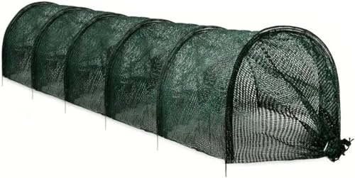 Tunnel de plantation, serre, filet de protection contre les oiseaux, jardin, plate-bande surélevée, filet de protection pour fleurs, fruits, concombres, tomates, piments, fraises, tunnels de jardin