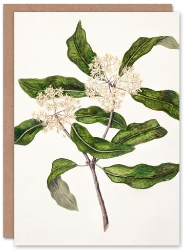 Artery8 Sarah Featon Art Card New Zealand Tarata Lemonwood Plant