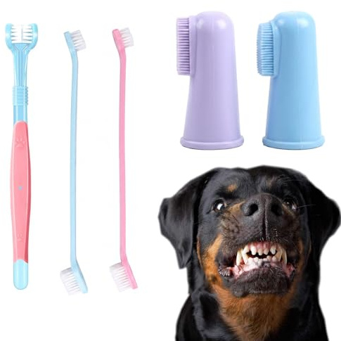 Kit med 5 hund- och katttandborstar, tandrengöringsset med 3 huvuden, dubbelsidigt långt handtag och silikonfinger, tar bort plack och tandsten, djurhygientillbehör