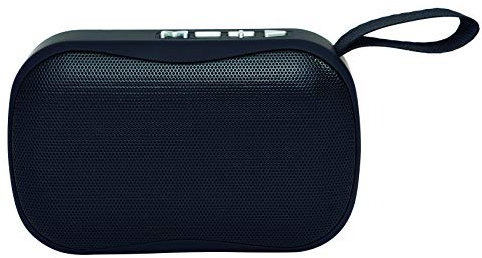 ELBE Alt-N10-BT - Altavoz Bluetooth Mini con Función Manos Libros, Altavoz Compacto, Radio Autoscan, USB Micro SD, Batería Litio Recargable 300 Mah, Color Negro