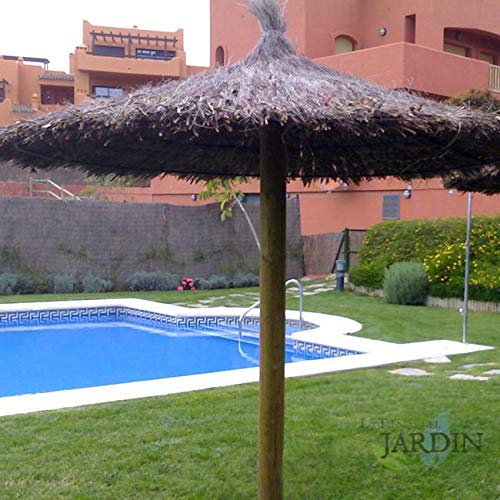 Suinga. SOMBRILLA JARDIN de BREZO 2,40 METROS para piscinas, playas, jardines o parques