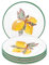 Lashuma Set di piatti da torta per 4 persone, piatto con motivo limone giallo, piatto piano in ceramica, diametro 19 cm