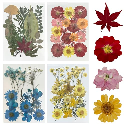 Woohome 78 Stück Natürlich Getrocknete Blumen Gepresste Blumen zum Basteln Blüten Getrocknet Trockenpressen-Blumen-Set für die Herstellung von DIY-Schmuck, Nagelkarten und Dekorationen
