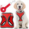 Dog Harness (Small, Rover Red) W/Leash for Running, Hiking & Training, Soft-Padded & No-Pull Design Pet Harness W/Leash Clips & Reflective Strips for Safety by EcoEarth