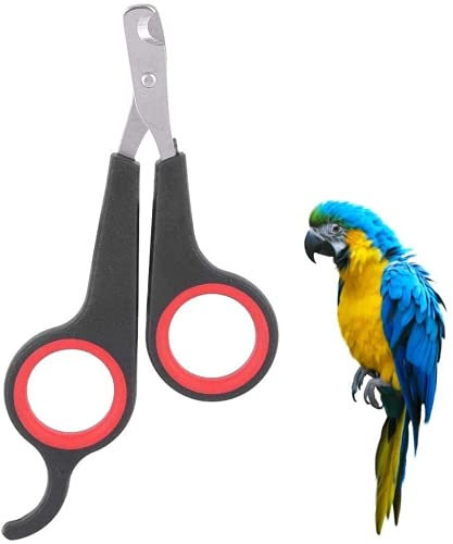 Ciseaux à Ongles pour Animaux de Compagnie Chien Chat Coupe-Ongles Oiseau Perroquet Griffe Tondeuse Professionnel Petits Animaux Outil de toilettage des onglesUtile et Attrayant.