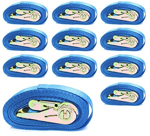 10 x Einteiliger Spanngurt 6 Meter LC 800 Kg daN i.d.Umreifung nach DIN EN 12195-2