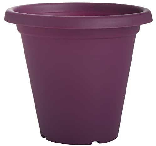 Clever Pots Kunststoff-Pflanztopf, 19/20cm Außen- oder Innentopf mit Entwässerungslöchern, leichtes und wetterfestes Pflanzgefäß für Blumen & Pflanzen, ideal für Garten, Terrasse & Veranda, Orchidee