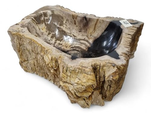 Lavabo en bois pétrifié - Vasque en pierre naturelle - Bois fossile avec des veines uniques et une variété de couleurs - Chaque pièce est absolument unique (#23)