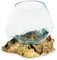 My Square Mile Molten Glass Display Bowl On Wood Root Stand Glass Rustic Ornament Sculpture Key Sweet Display Dish (Medium)