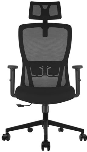 Durrafy Office Chair, Desk Chair with Adjustable Headrest, Lumbar support and Liftable Armrest, High Back Ergonomic Office Chair, Breathable Mesh Backrest for Comfort, Computer Chair for Home/Office