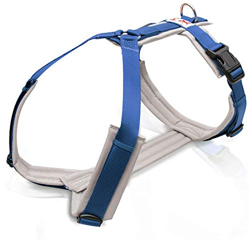 Brustgeschirr Grau/Blau Hundegeschirr, Gepolstert, Verstellbar, Bewegungsfreundlich, für kleine, mittelgroße und große Hunde (L)